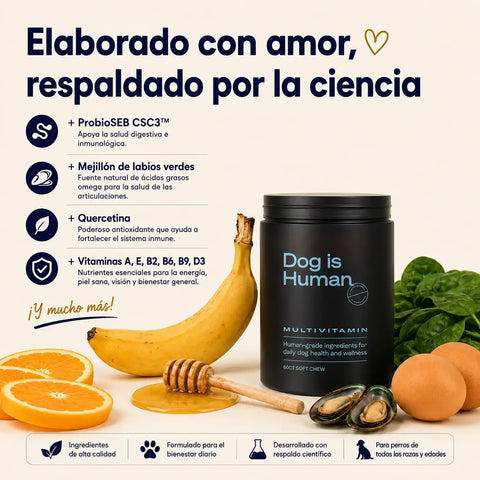 Producto
